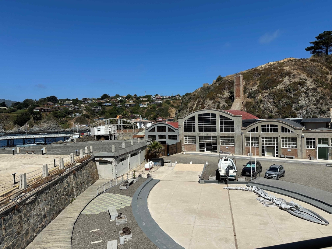 An open space in the foreground with a whale skeleton on the ground on the right. Two cars and a boat are in a parking lot in front of a building. Hills and buildings are visible in the background.