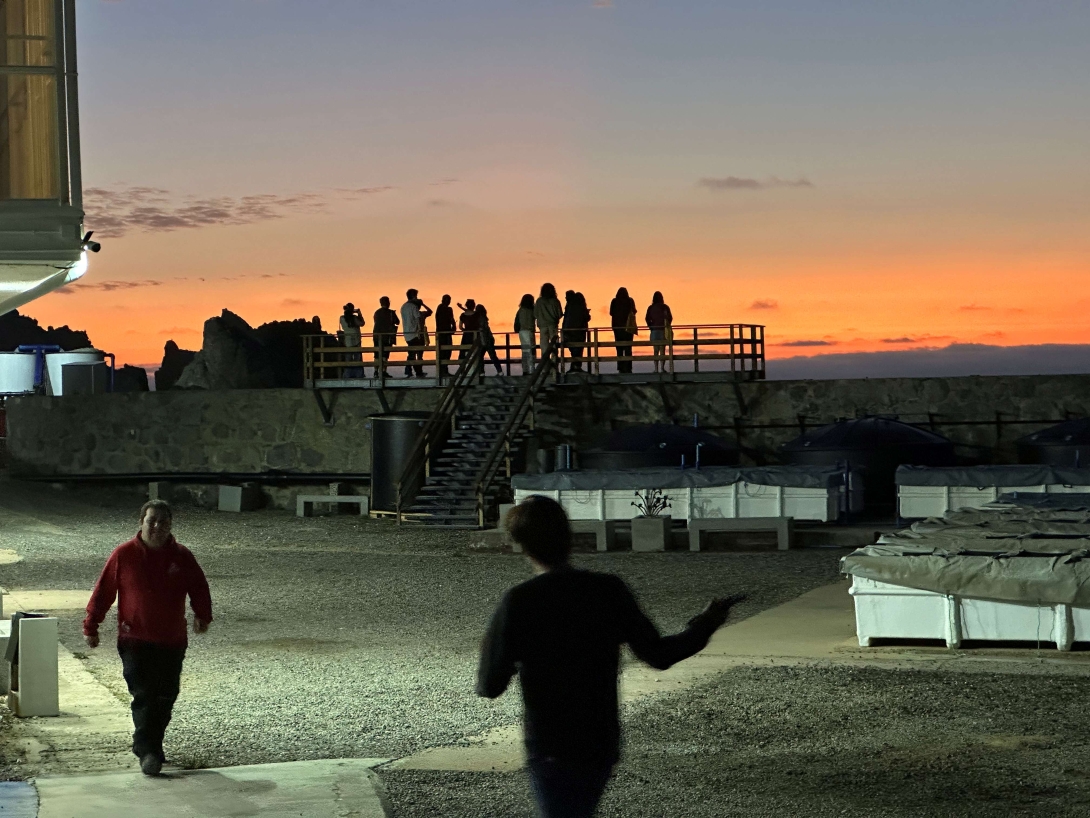 Two people walk toward each other in the foreground. In the background, a line of people stand atop a platform on top of what appears to be a stone wall.