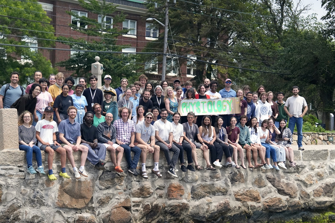 Physiology Class of 2025 sitting on the sea wall at MBL.