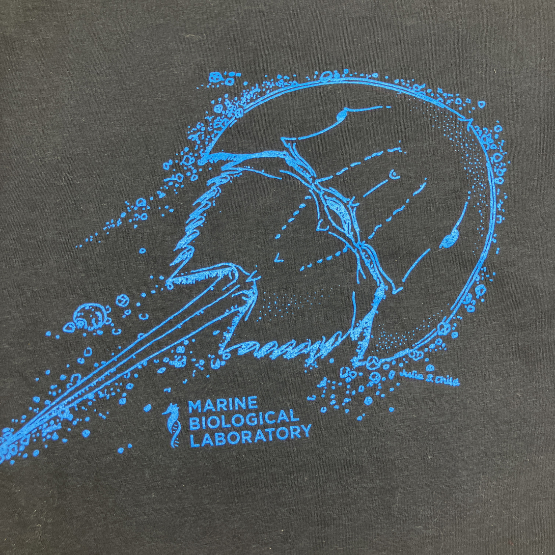Black shirt with blue horseshoe crab and MBL logo.