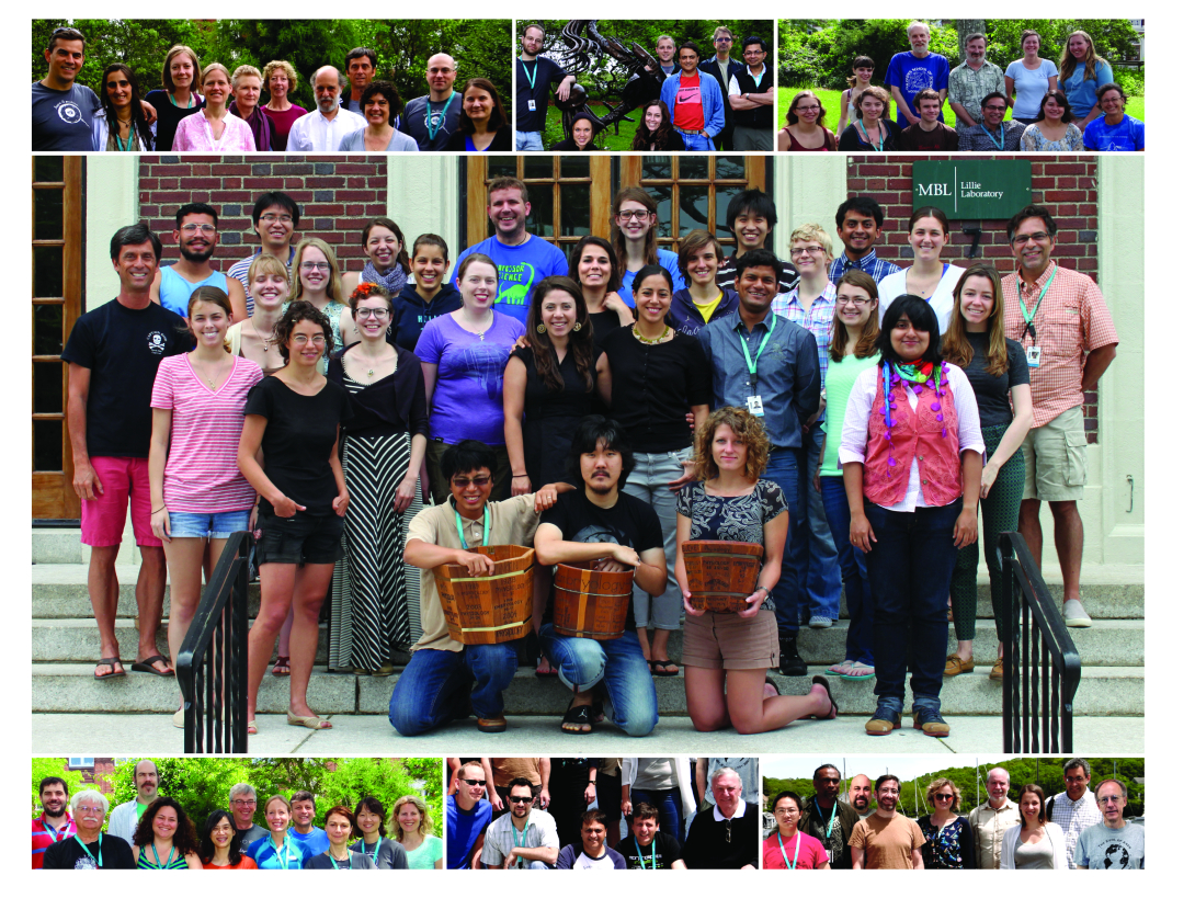 Embryology 2013 Class Photo
